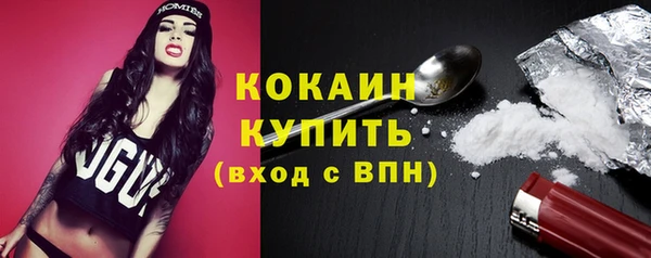 дживик Богородск