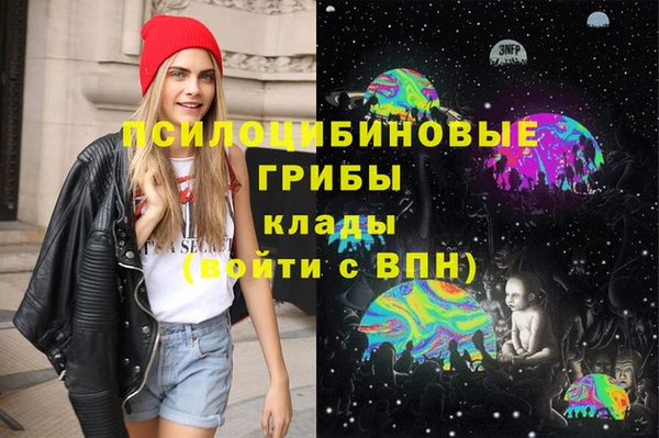мяу мяу мука Верея