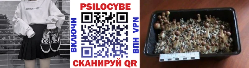Псилоцибиновые грибы ЛСД  цена наркотик  Верхняя Тура 